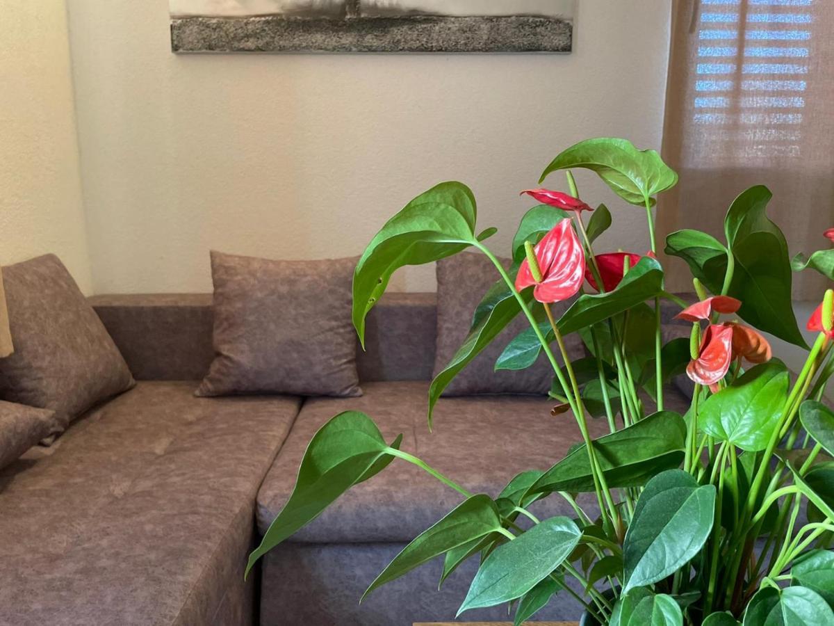 Studio Apartment Dona Trogir Kültér fotó